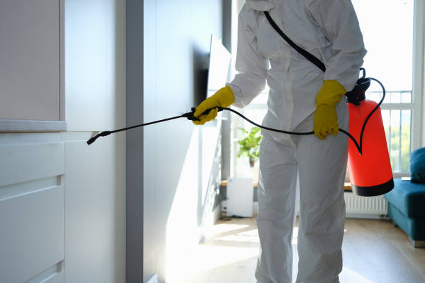 Best Local Mold Removal Service  in Powells Crossroads, TN