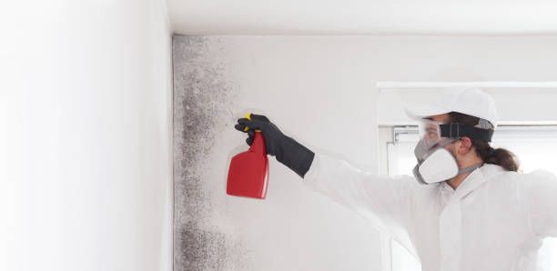 Best Mold Removal Specialists  in Powells Crossroads, TN